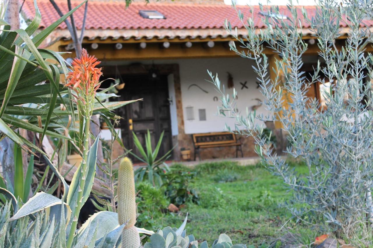 Casa Rural La Coscoja Merida Exterior photo